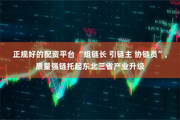 正规好的配资平台 “组链长 引链主 协链员”，质量强链托起东北三省产业升级
