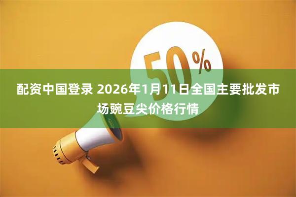 配资中国登录 2026年1月11日全国主要批发市场豌豆尖价格行情